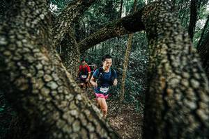 BIB: 
                            <button type="button" onclick="openModal(25392296)" class="btn btn-primary btn-sm float-right btn-popup" data-toggle="modal" data-target=".modal-high-quality">
                        <i class="fas fa-shopping-cart"></i> Add to Cart
                    </button>
                                            <button type="button" onclick="isThisMe(25392296, true)" class="btn btn-success btn-sm float-right btn-popup btn-isme hidden" data-toggle="tooltip" data-placement="bottom" title="นี่คือรูปของคุณใช่ไหม คลิกที่นี่เพื่อเอาเข้าอัลบั้ม">
                        <i class="fas fa-plus"></i> Add to album
                    </button>
                    <button type="button" onclick="isThisMe(25392296, false)" class="btn btn-warning btn-sm float-right btn-popup btn-isnotme hidden">
                        <i class="fas fa-ban"></i> Remove from album
                    </button>